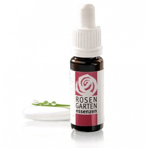 Rock Rose  - Sonnenröschen