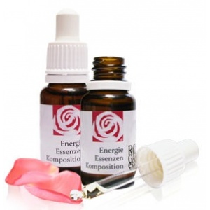 Holly – Stechpalme